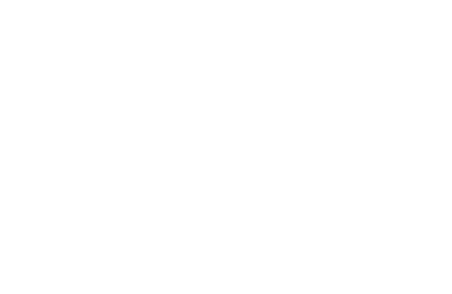 Altus Consulting